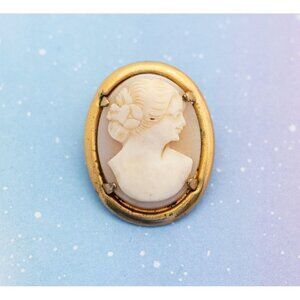Vintage Medieval Carved Cameo Brooch| J19